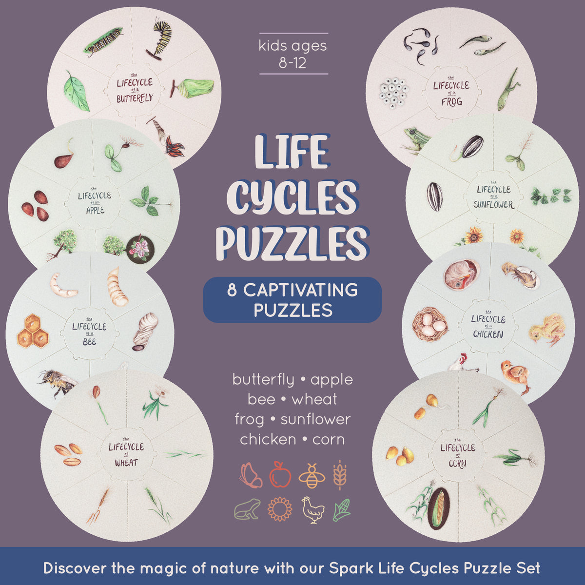Scienz of Life & Sol Uprising CDセット CLO3735LP-BOS-1_grande.png?v=